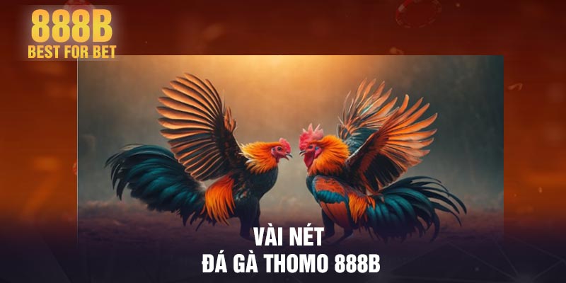 Vài nét đá gà Thomo 888B